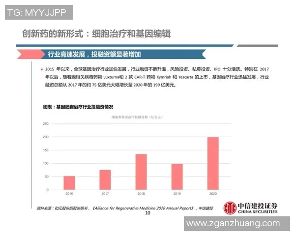 北京篮球队团队协作新模式探讨与热议引发的变革思考