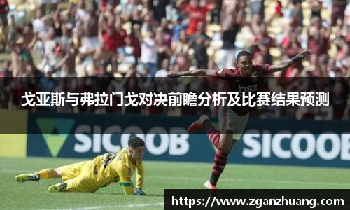 戈亚斯与弗拉门戈对决前瞻分析及比赛结果预测