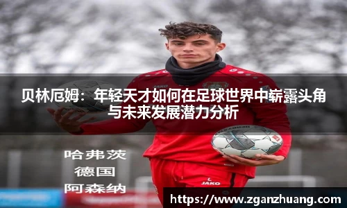 好博体育APP